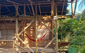 Jui Chi Mama Ecolodge & Birding